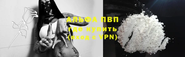 эйфоретик Кинешма