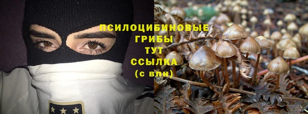 эйфоретик Кинешма