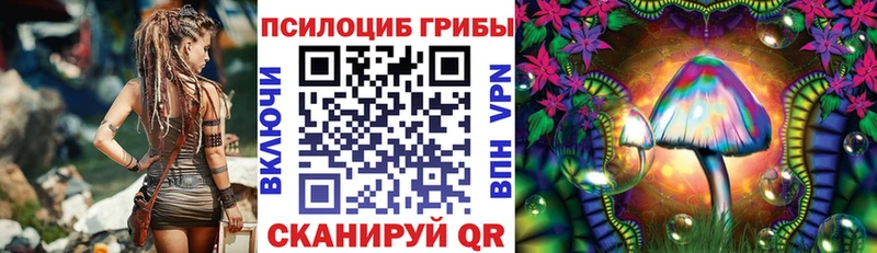 Псилоцибиновые грибы мицелий  Купить где  Октябрьск 