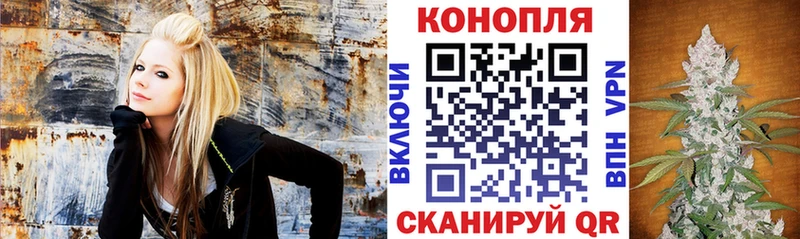 Купить закладки  Октябрьск  Каннабис AK-47 